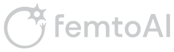 FemtoAI